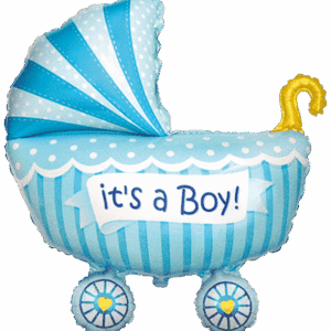 BABY BUGGY BOY 32″/81cm / Ref: 901740