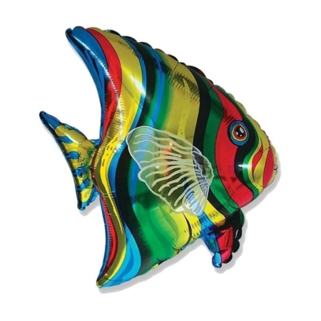 TROPICAL PEZ 25″/63cm x 26″/66cm /Ref: 901612