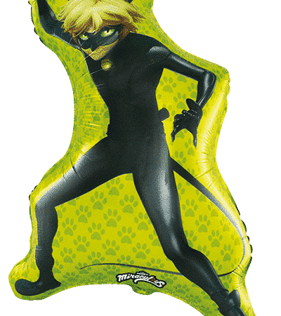 CAT NOIR 35″/89cm x 22″/56cm / Ref: 901794