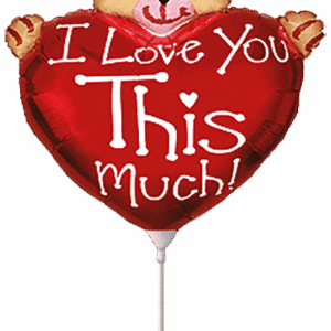 BEAR LOVE MUCH MINI 12″/30cm x 13″/33cm / Ref: 902715