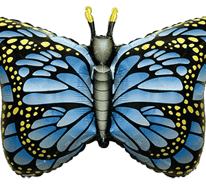 .ROYAL MARIPOSA AZUL 27″/68cm x 30″/76cm / Ref: 901778A