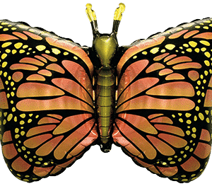 .ROYAL MARIPOSA NARANJA 27″/68cm x 30″/76cm / Ref: 901778NA