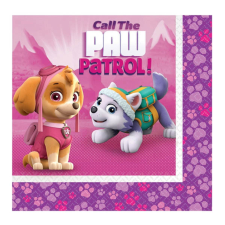 Pack servilletas Patrulla canina 20 unds.