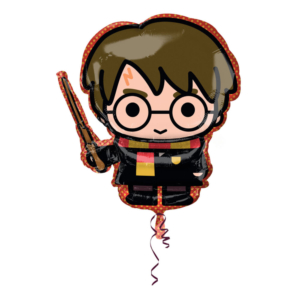 Forma Harry Potter 48 X 78cm /Ref: 4042101